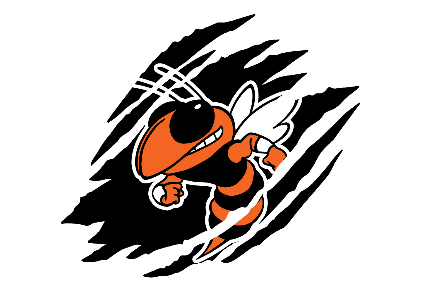 Strother Yellowjackets Spirt Wear